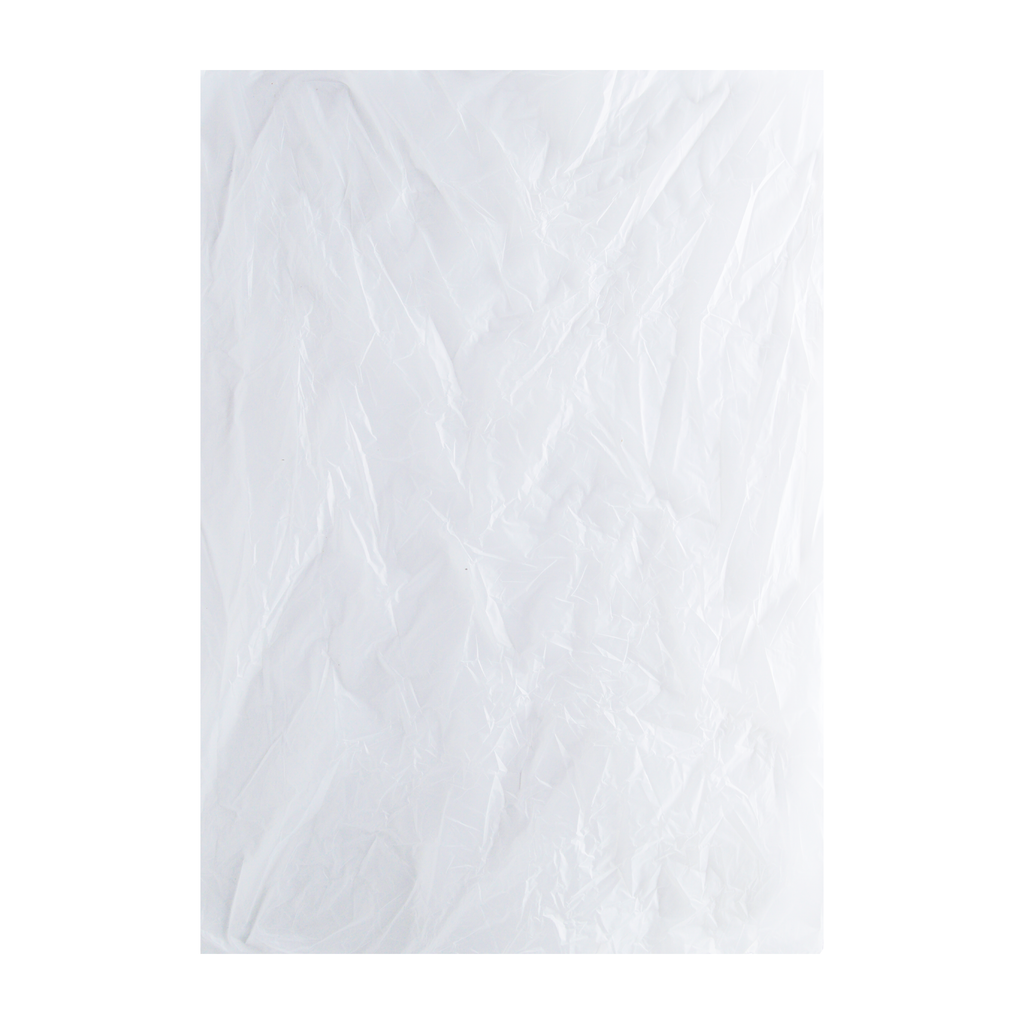 Hoja de Polipapel Punteado