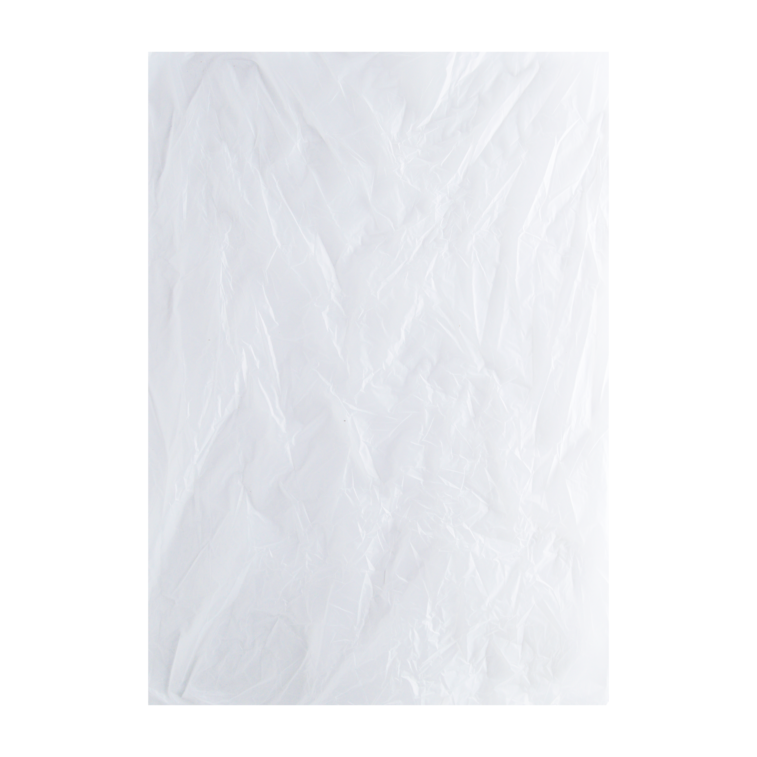 Hoja de Polipapel Punteado
