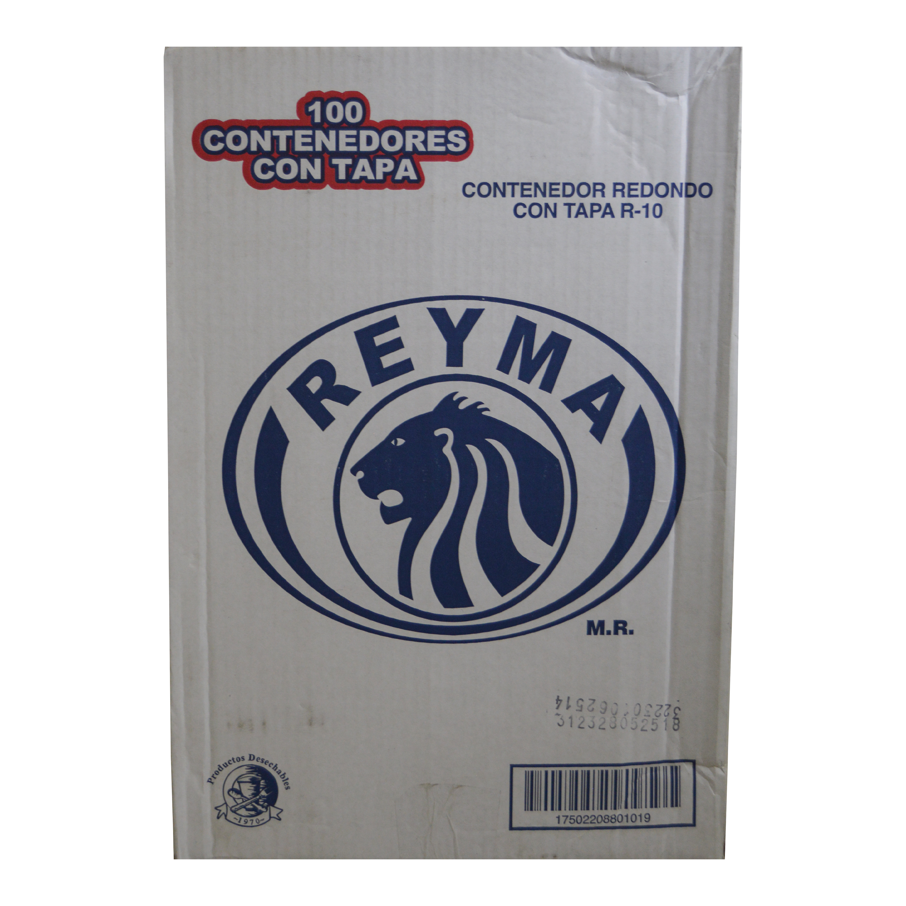Domo para Pastel Individual Reyma