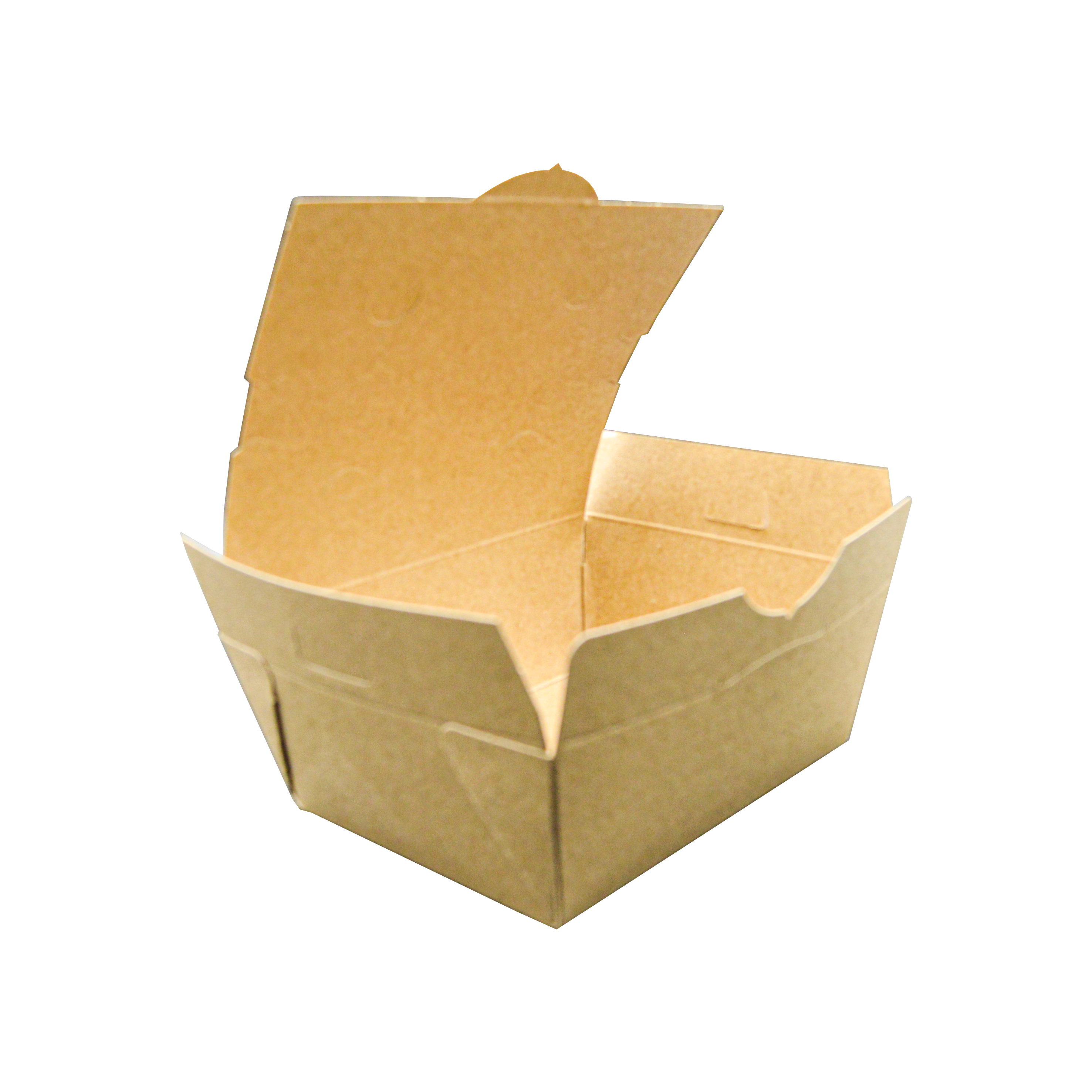 Caja Mediana de Cartón BIO Green Trays