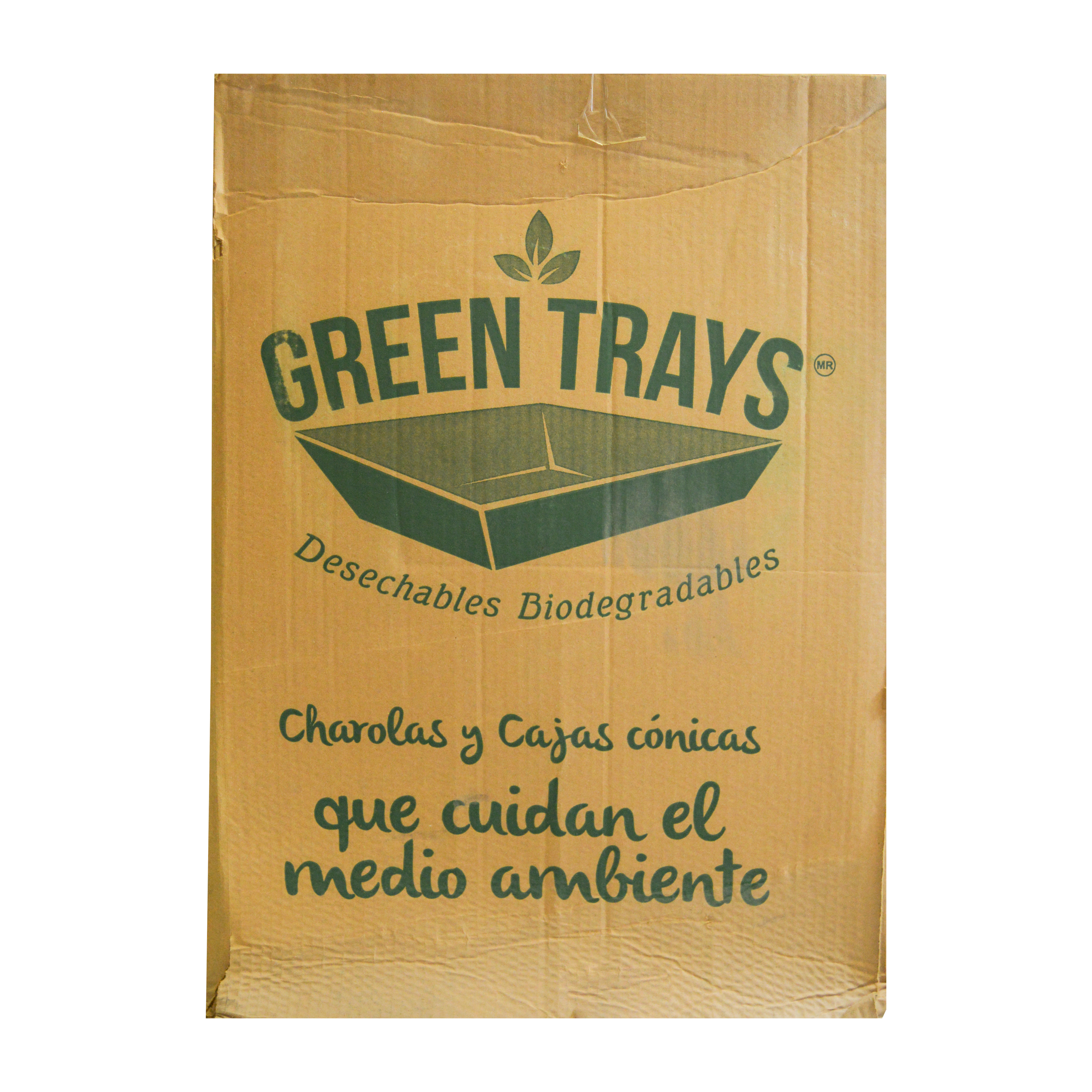 Caja Grande de Cartón BIO Green Trays