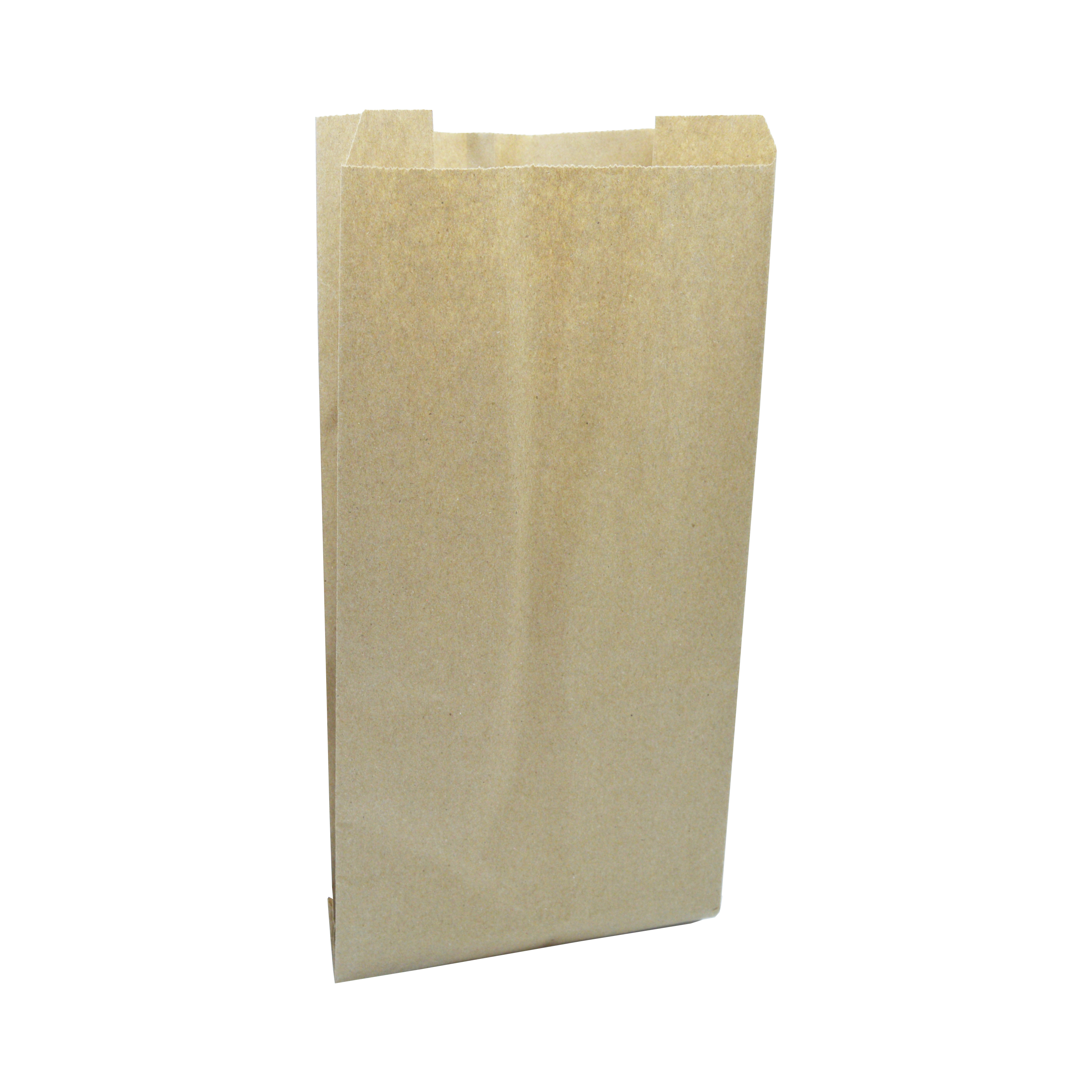Bolsa de Papel Trébol de la Suerte
