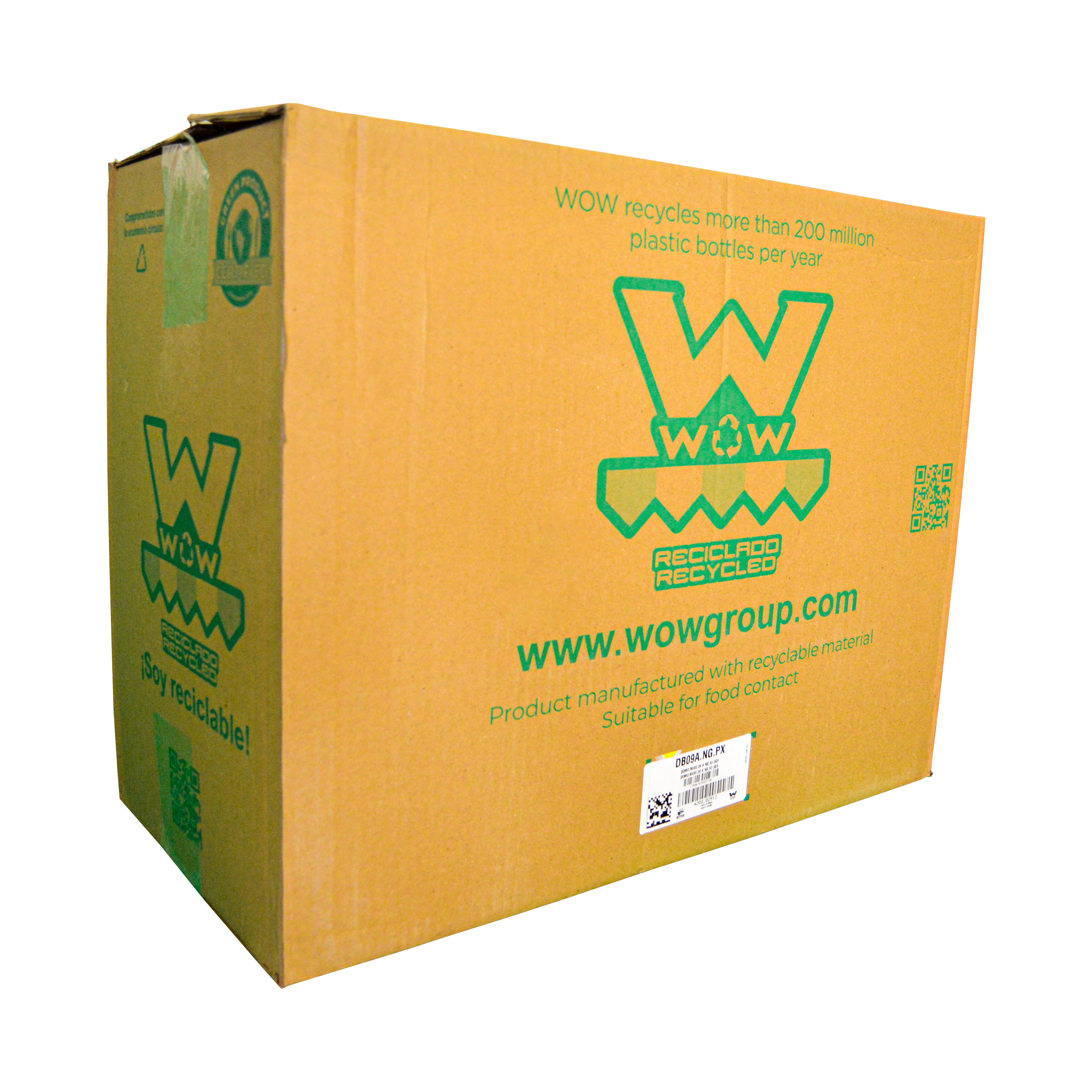 Domo para Pastel 29 cm WOW